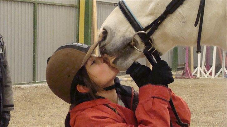 Anden særlig race  Dusty  R.I.P.:'( - Tak for turen, jeg æææælsker dig. billede 10