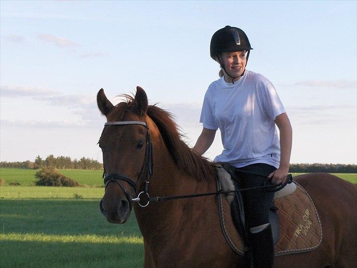 Anden særlig race Sakskærs Anastasia billede 6