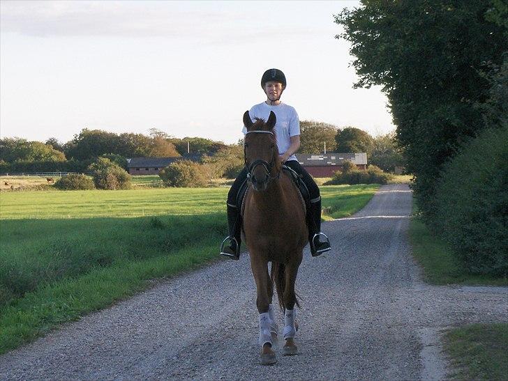 Anden særlig race Sakskærs Anastasia billede 7