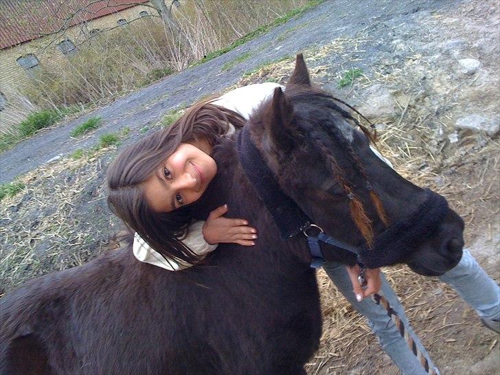 Shetlænder Ally *part* Solgt!!.'( billede 7