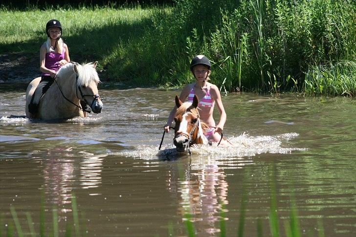 Hollandsk Sportspony Freja R.I.P..Savnes<3 - Ih :D Hygge :p [Foto: Julie Sundberg] billede 8