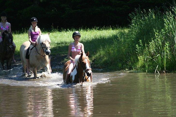 Hollandsk Sportspony Freja R.I.P..Savnes<3 - [Foto: Julie Sundberg] billede 9