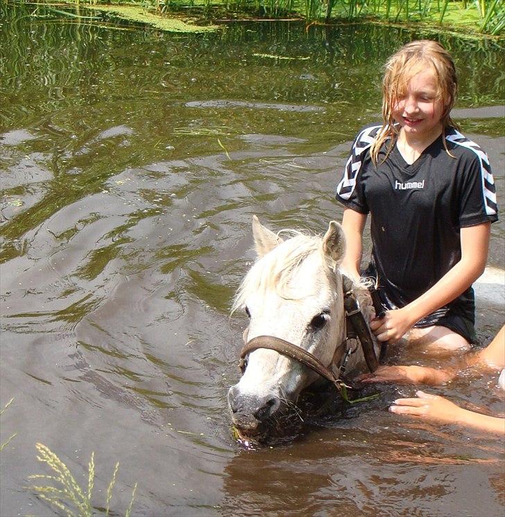 Anden særlig race Søby Vestergaards Clio billede 15