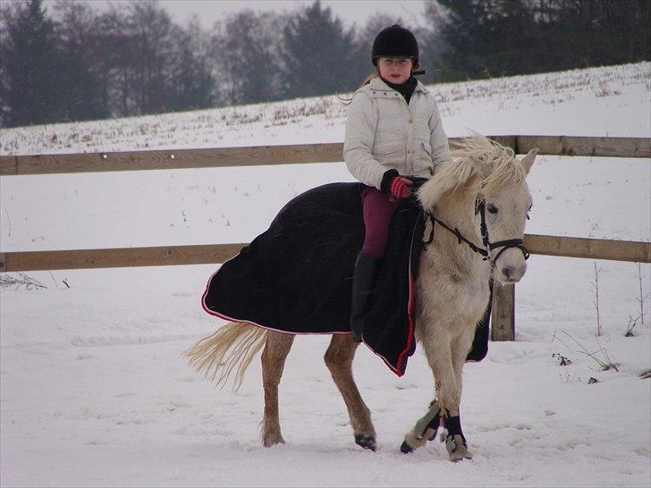 Anden særlig race Søby Vestergaards Clio billede 18