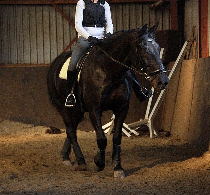 Anden særlig race Donhill  ( x-Part :'( ) - A real friend is one who walks in when the rest of the world walks out. I believed i found him :´) [ foto: Far ] billede 3