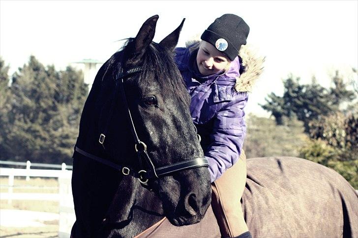 Anden særlig race Donhill  ( x-Part :'( ) - Du acceptere også andre på ryggen, et vidunderlig handyr, som der nyder det bidløse!: [ foto: KT-foto(mig) ] billede 6