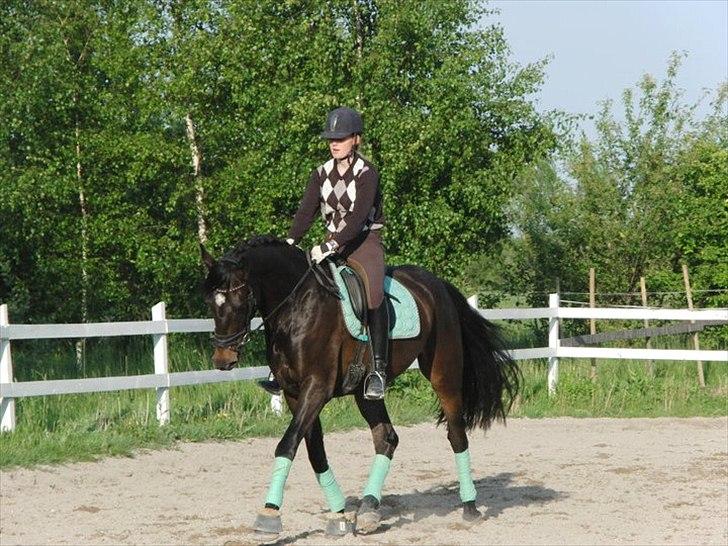 Anden særlig race Cortido  - Han er blevet så fin!  billede 8