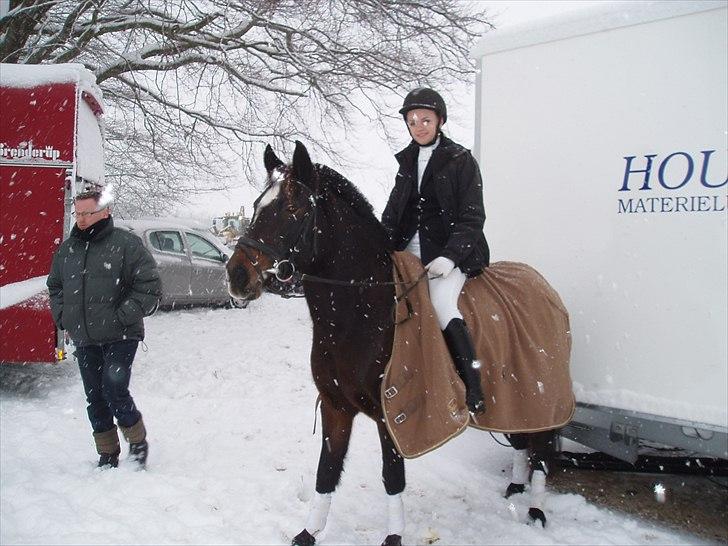 Anden særlig race Le Fleur - fra stævne d. 5/12 - 2010, jeg elsker dig prinsesse :). billede 3