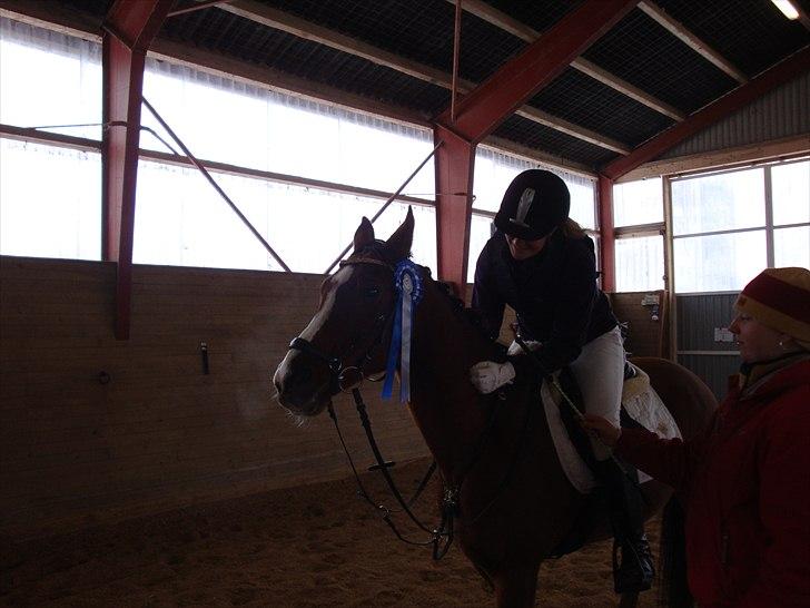 Arabisk fuldblod (OX) Grafik ox - God dreng! en anden plads :D! billede 6