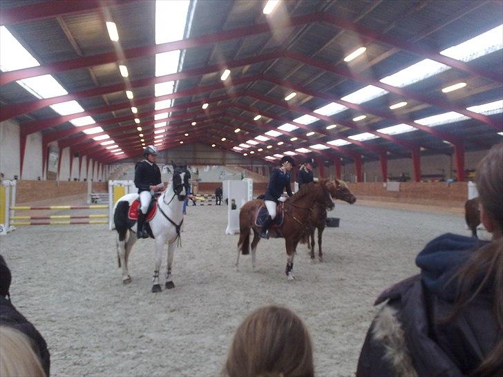 Hollandsk Sportspony Winnetou(SOLGT :D) billede 18