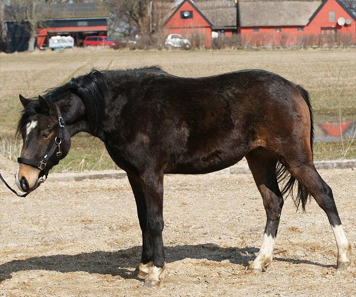 DSP Caspara´s April billede 14