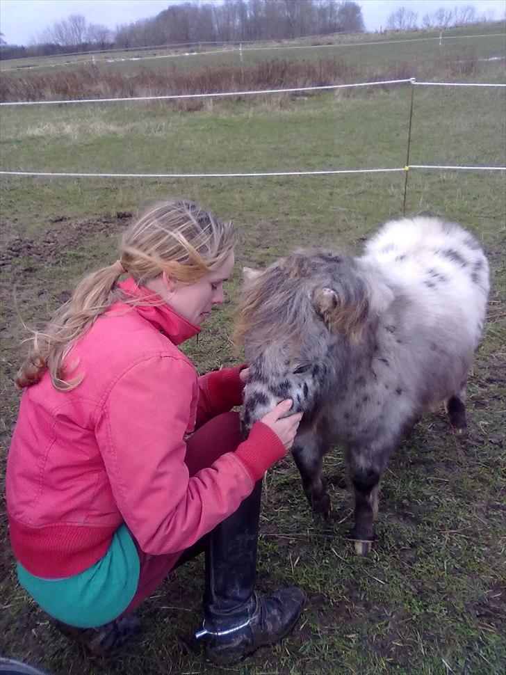 Miniature Bølle Bob - Der dig , der er kun dig jeg kan ikke glemmer dig i mit hjerte og i mit tanker ♥ billede 7