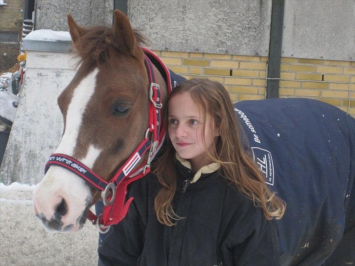 Tysk Sportspony Farina - Love!<3<3 foto: Celeste (søster) tak<3 billede 6