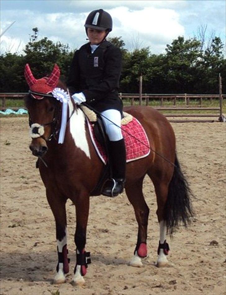 Anden særlig race Molly <3 *SAVN* - Til stævne <3 billede 19