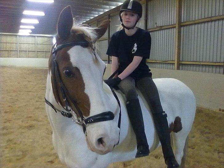 Anden særlig race Canupa - Elsker hende! billede 13