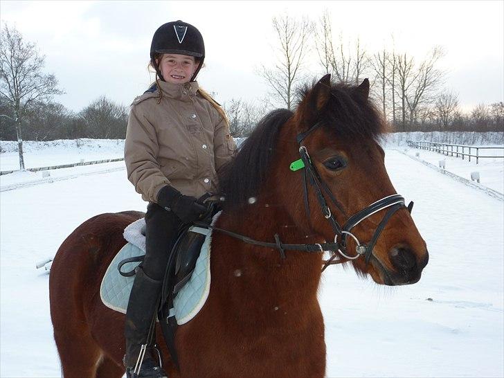 Anden særlig race Thanehøjs Mads - Mads og mig i sneen d.24 dec 2010. billede 14