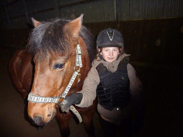 Anden særlig race Thanehøjs Mads billede 15