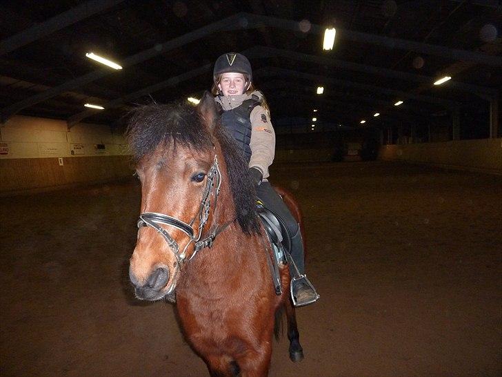 Anden særlig race Thanehøjs Mads billede 16