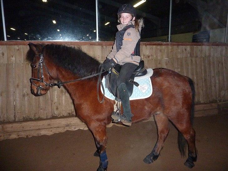 Anden særlig race Thanehøjs Mads billede 17