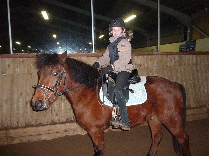 Anden særlig race Thanehøjs Mads billede 18