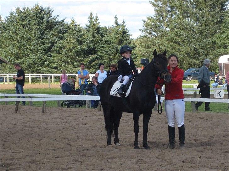 Anden særlig race Shiela billede 10