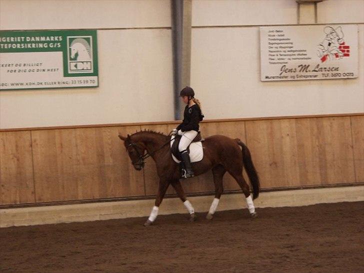 Anden særlig race Mira (Misty) - Dressurstævne d. 21/11-10 <3 billede 14