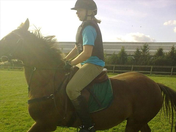 Anden særlig race Vivaldo....<3 Fortid..;/ - Det er dig der holder mig oppe dag og nat! Hvis du ikke var der, så ville jeg heller ikke være her mere <3 Du er mit livs lys <3 billede 9