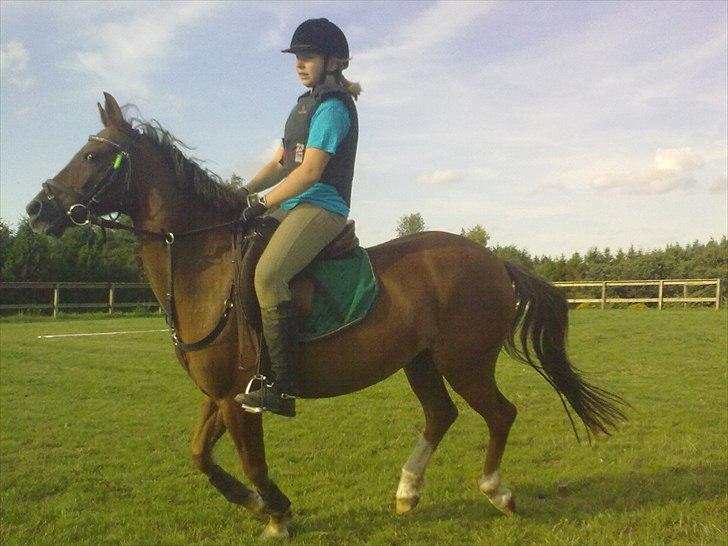 Anden særlig race Vivaldo....<3 Fortid..;/ - Hvordan kan jeg give dig alt det tilbage du har givet mig? Din støtte og kærlighed <3 billede 10