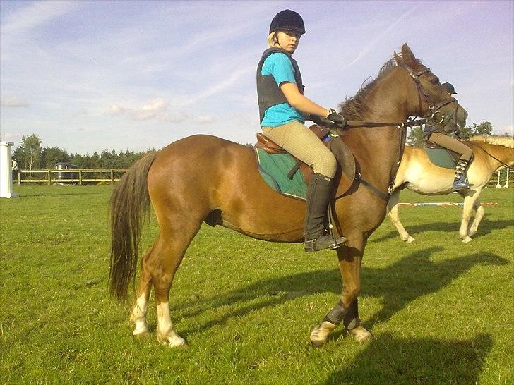 Anden særlig race Vivaldo....<3 Fortid..;/ - Please remember! Our time together! <3  billede 11