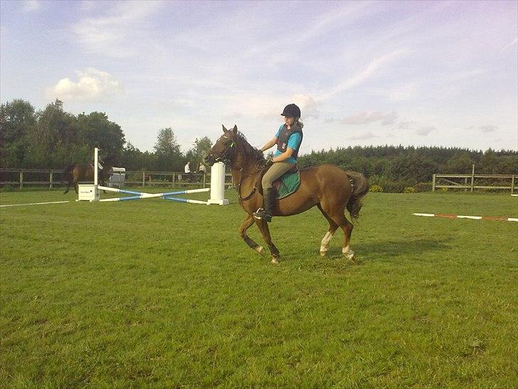 Anden særlig race Vivaldo....<3 Fortid..;/ - We ride so fast, we ride so free. I had you and you had me! <3 billede 12