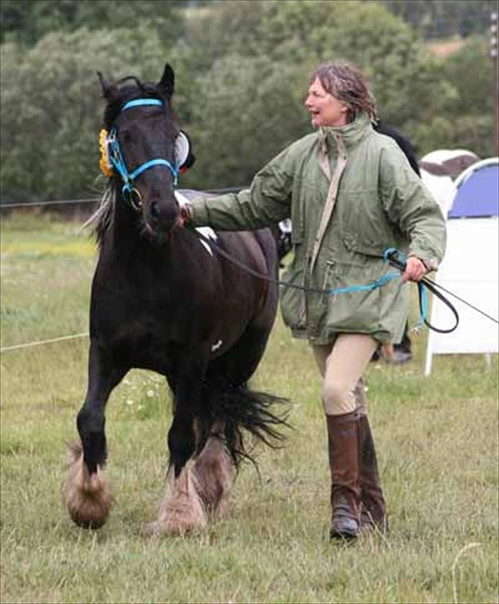 Irish Cob Charles X-part :( - Charles med sin gamle ejer. billede 3