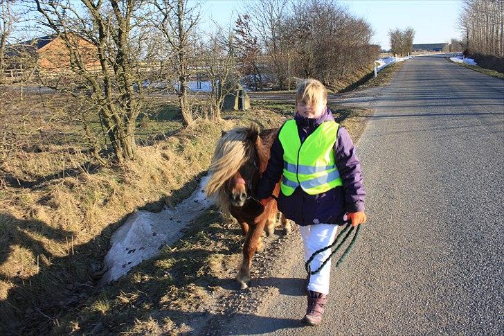 Shetlænder Vestbjergs Top - Ude og gå, husk sikkerheden!! Foto: Mig billede 8