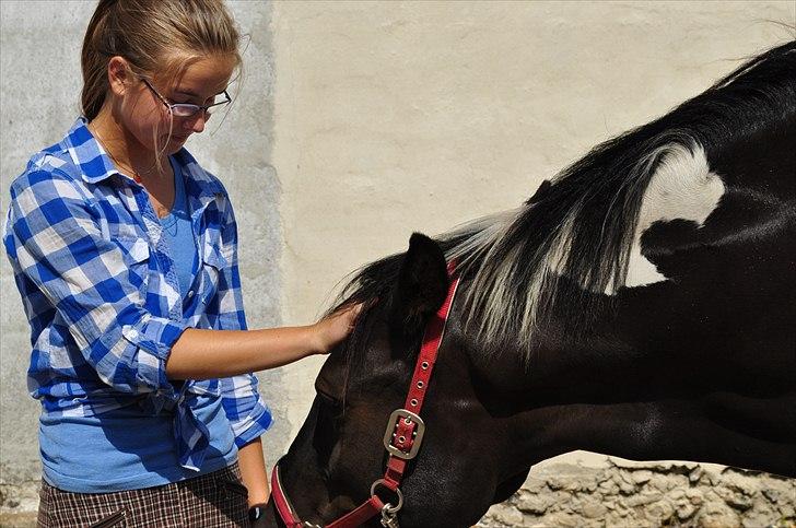 Pinto Melanie - sleep tight :') - <3 billede 17