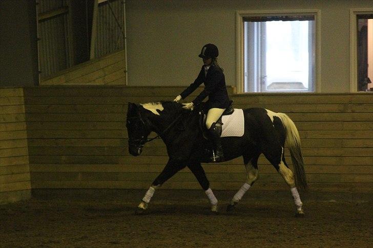 Pinto Melanie - sleep tight :') - Trav - så spøjst jeg sidder... :) Melanies første og eneste stævne - LC2. Stævne MORK 6. dec. 2010   Foto:? Line Skous kamera billede 18