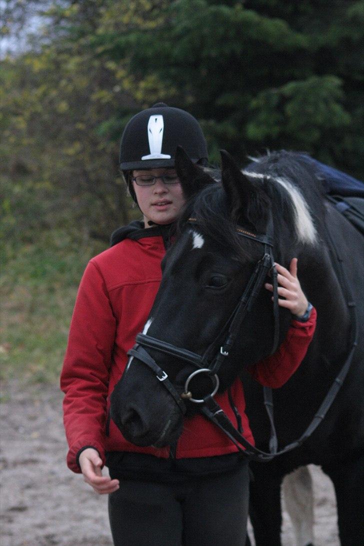 Pinto Melanie - sleep tight :') - Mig og Melanie <3 5. nov 2010.   Foto: Line Skou billede 19