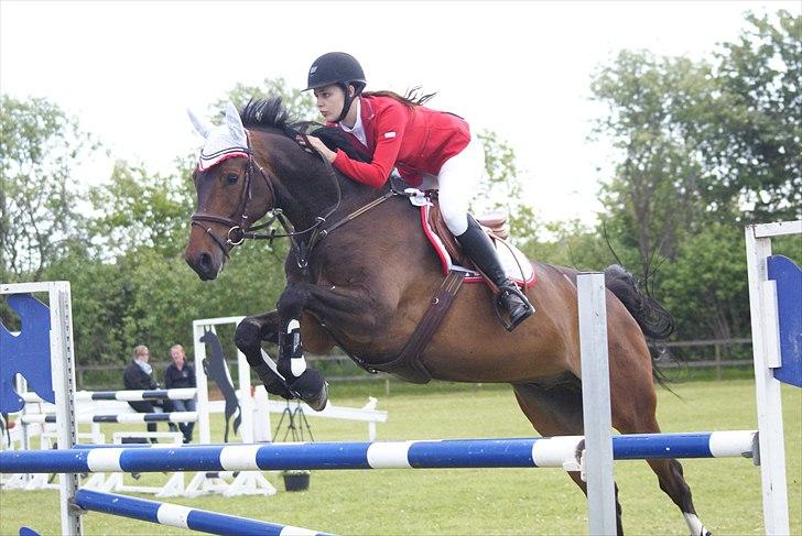 Holstener Capone billede 5