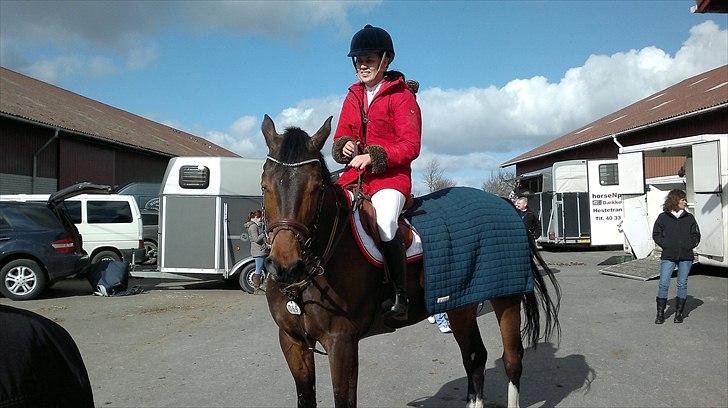 Holstener Capone billede 8