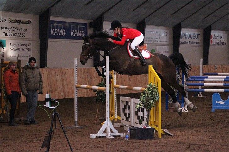 Holstener Capone - Giver den gas :D billede 11