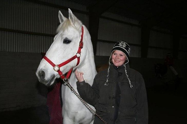 Anden særlig race Tiffany - Juleaflsutning 2009, Teestrup. billede 14