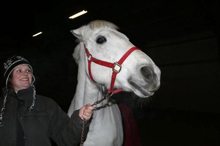 Anden særlig race Tiffany - Juleafslutning 2009, Teestrup. billede 15