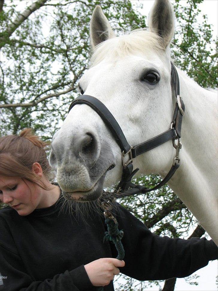 Anden særlig race Tiffany - Sommer 2010. billede 17
