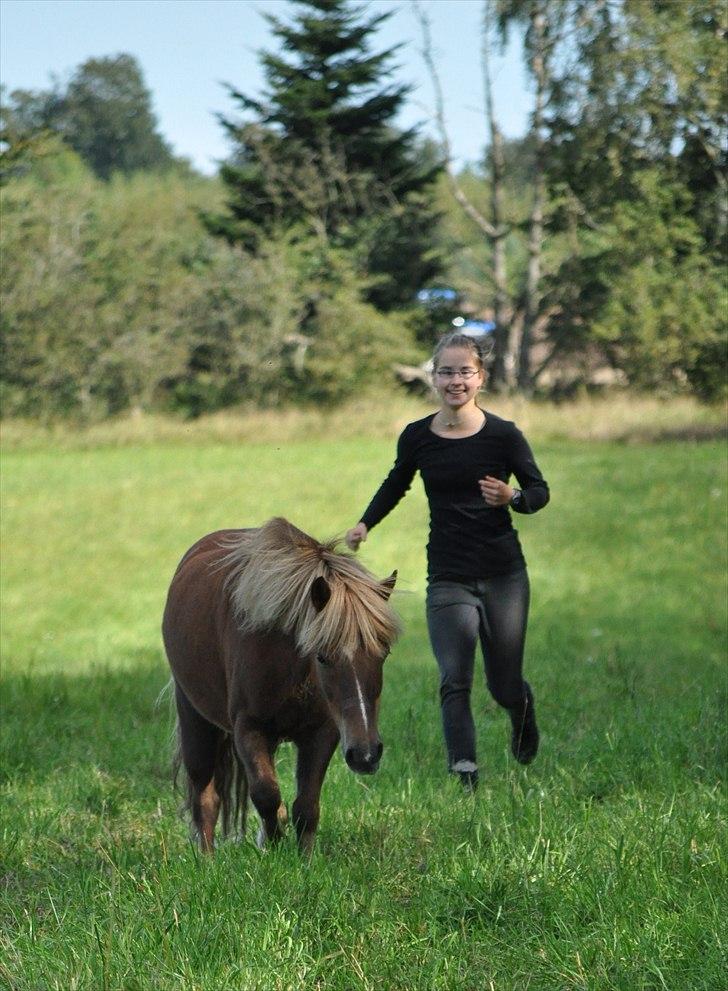 Anden særlig race Pjok - Ude atløbe med Pjok :D Sommer 2010 billede 5