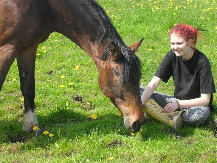 Anden særlig race Alandra - Sommerhygge i græsset. billede 6