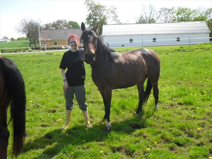 Anden særlig race Alandra - Sommeren 2010 billede 7