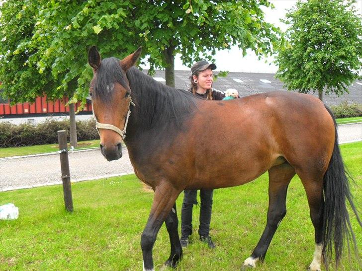 Anden særlig race Alandra - Alandra og Kristoffer. billede 9