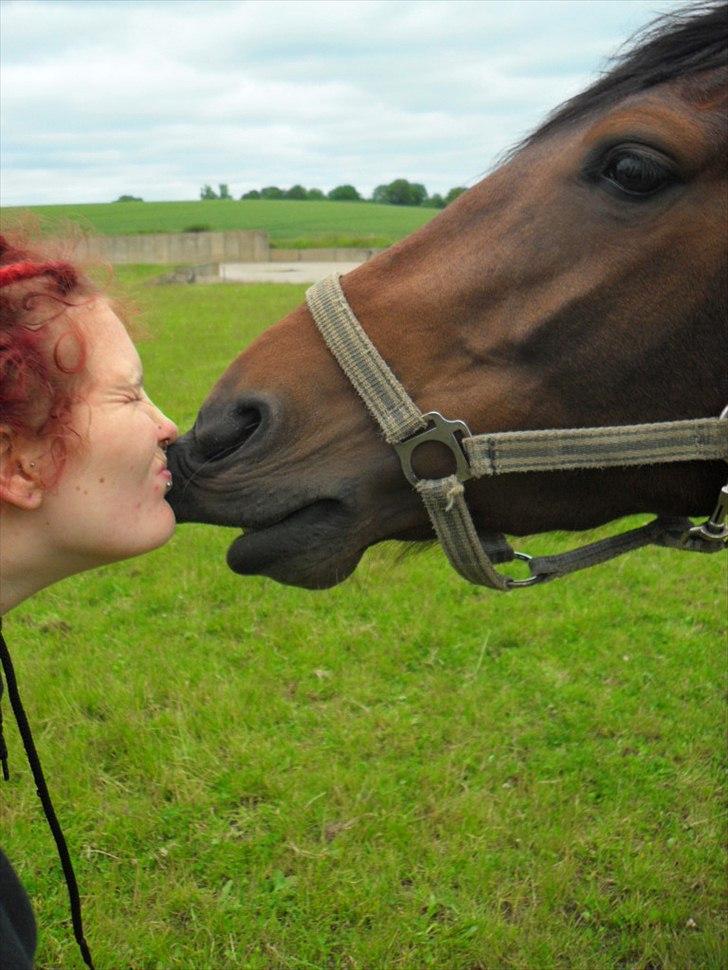 Anden særlig race Alandra - Man skulle tro at det var kysse-tricket, men det har hun ikke lært endnu. Det var ren nysgerrighed fra hendes side - og så kunne jeg ikke lade være med at kysse! billede 12