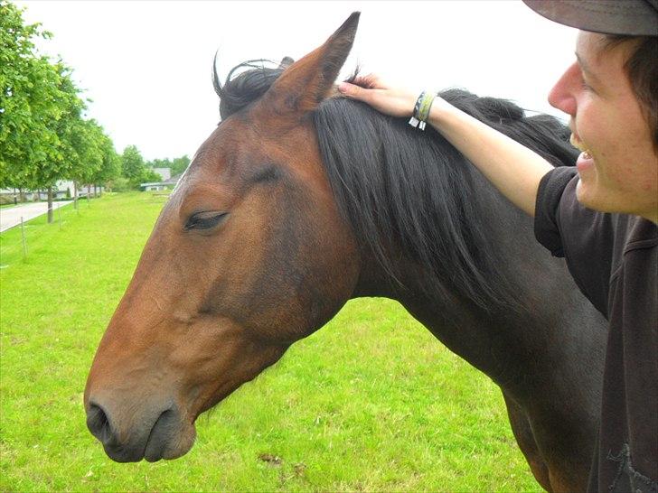 Anden særlig race Alandra - Alandra nyder at blive nusset. billede 13