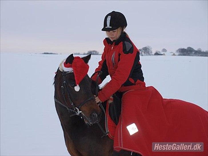 New Forest Mankehøjs Glamour<3 SOLGT:'-( - nyyt! mig og glamour aka. isprinsesser<33 billede 12