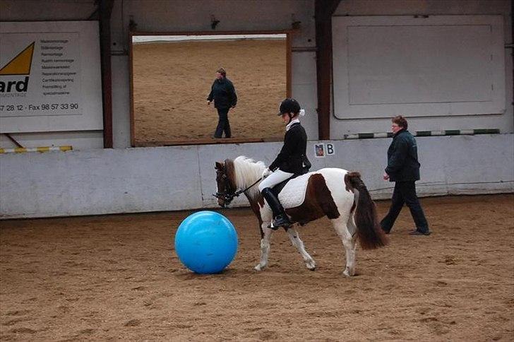 Anden særlig race Lady<3 - Åbenhus. billede 13