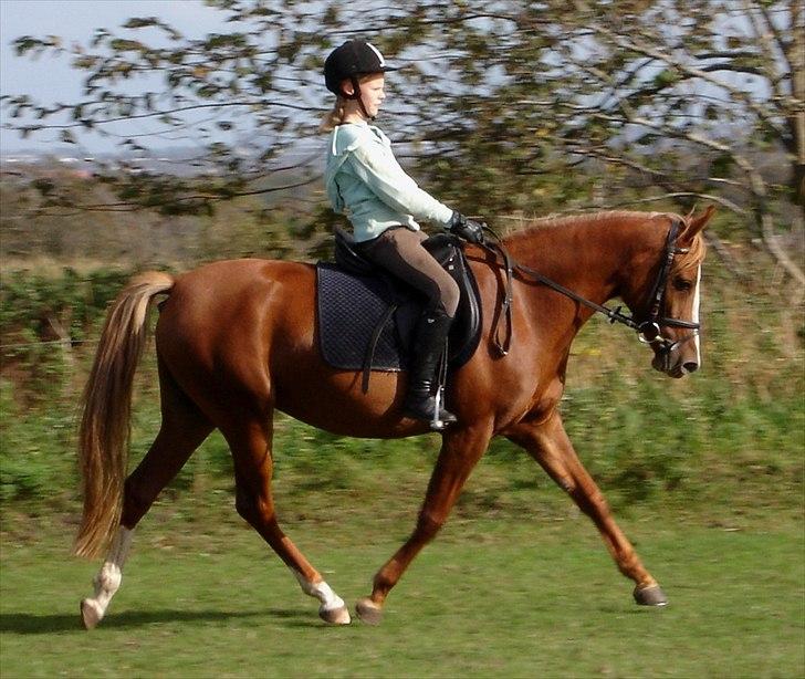 DSP Karisma - Thea rider Karisma (4 år), sommeren 2010 billede 1